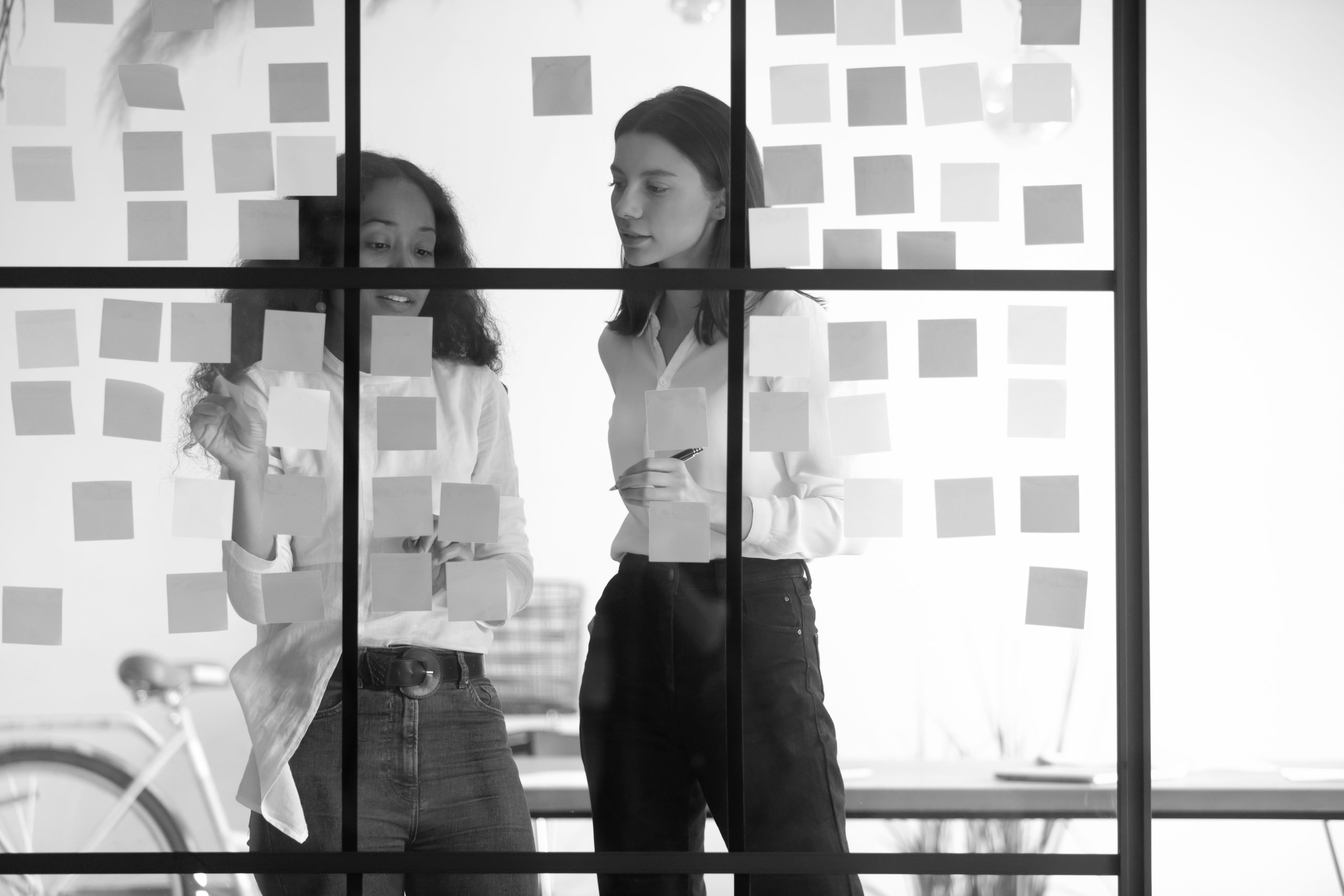 Mentoring internacional Mentoring internacional